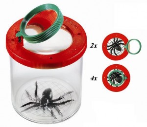 מיכל חרקים עם זכוכית מגדלת